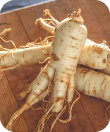 1-ginseng.webp